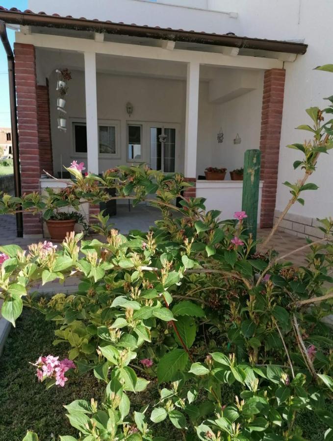 Apartmani B&S Barbat na Rabu المظهر الخارجي الصورة